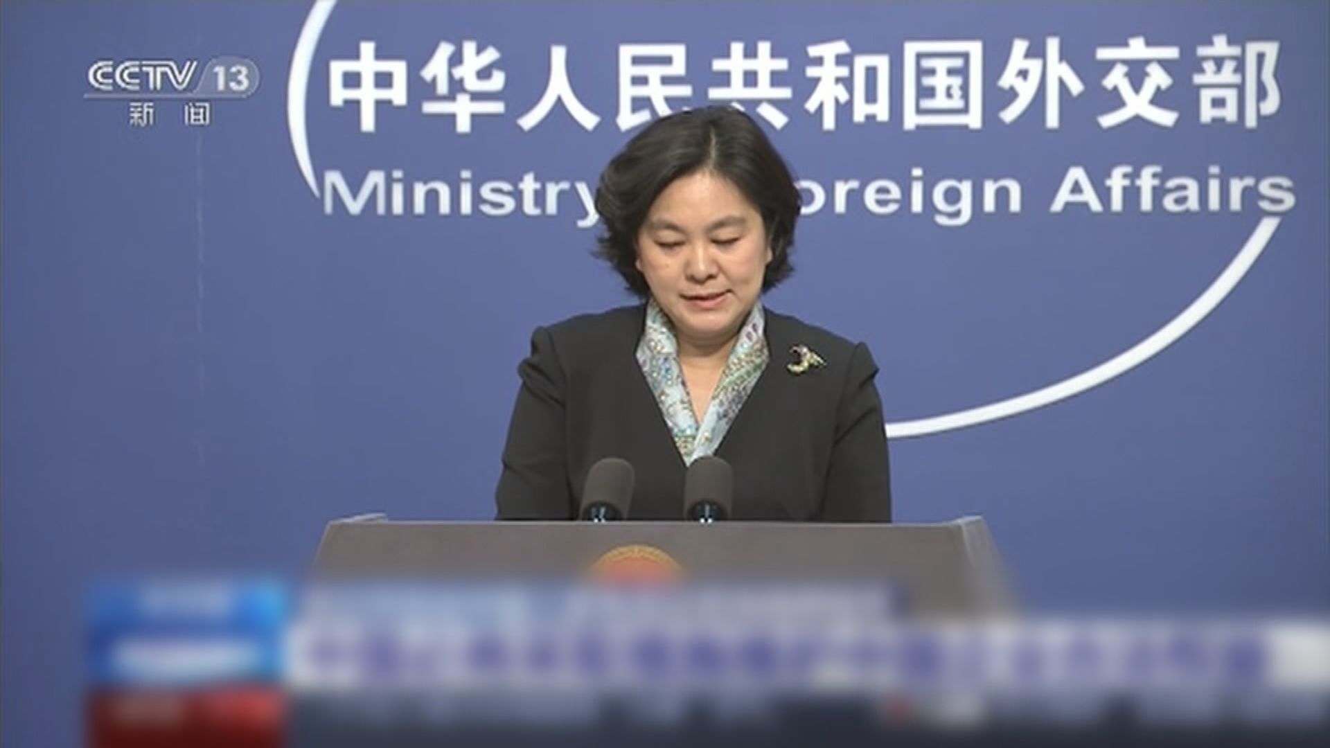 華春瑩:採取必要措施維護中企權益
