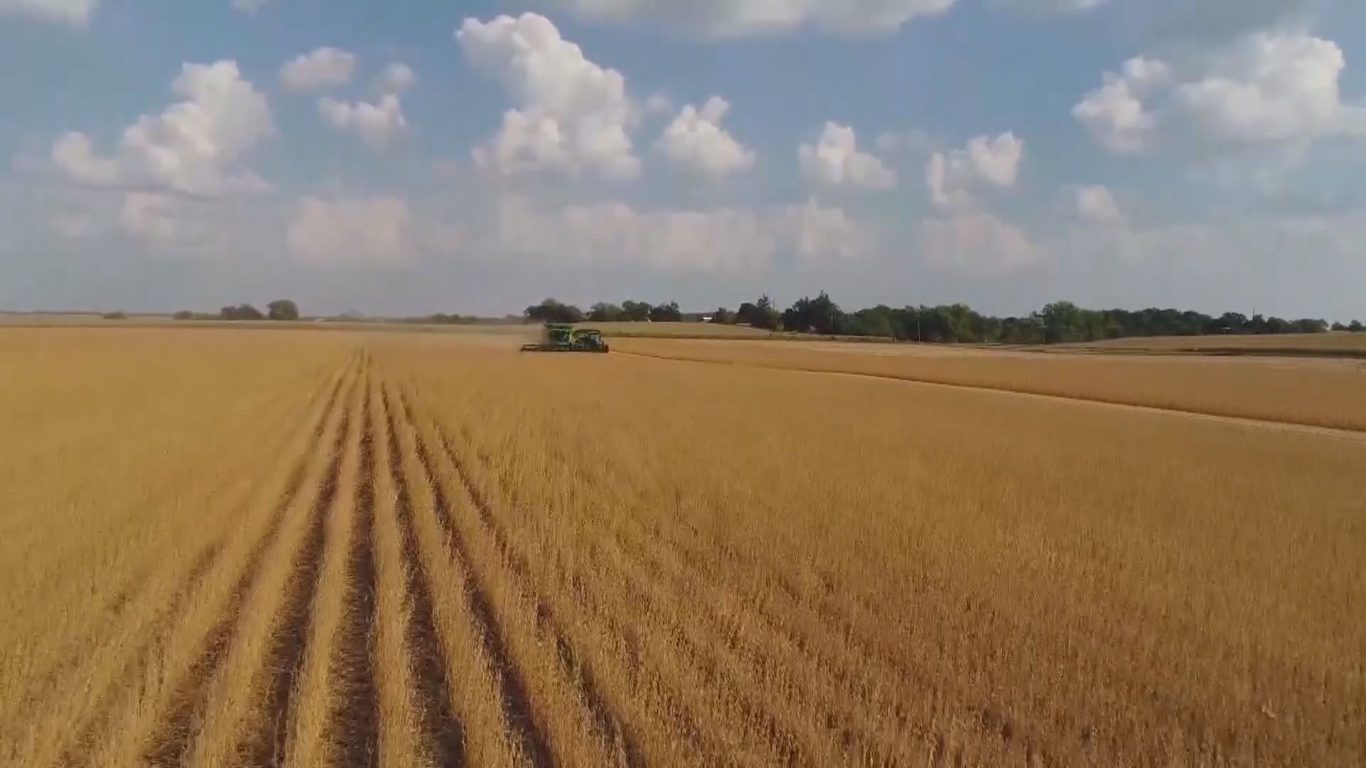 【仍有餘波】分析:中美貿易有機會今年內再起風波