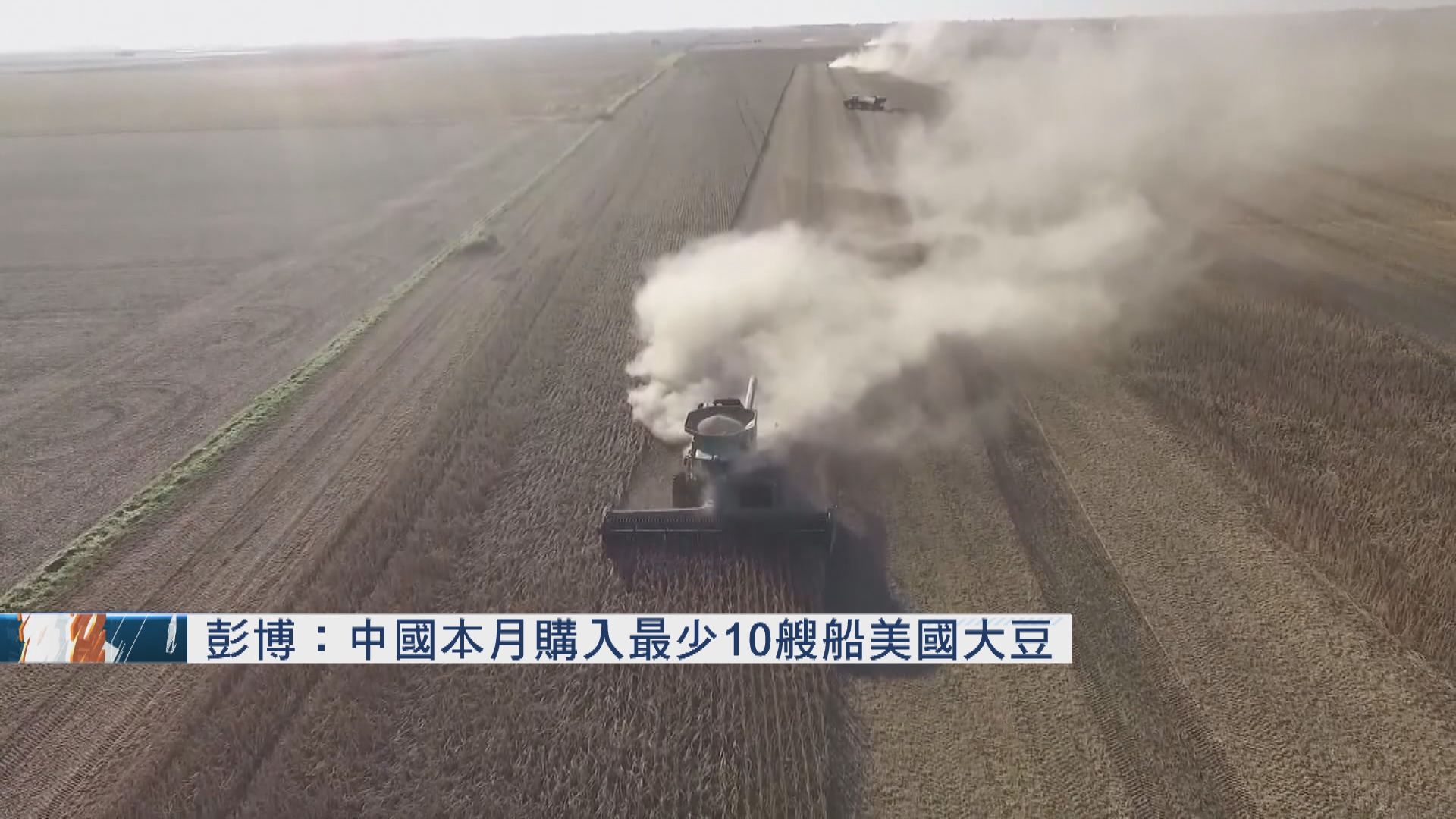 中國繼續購買美國大豆