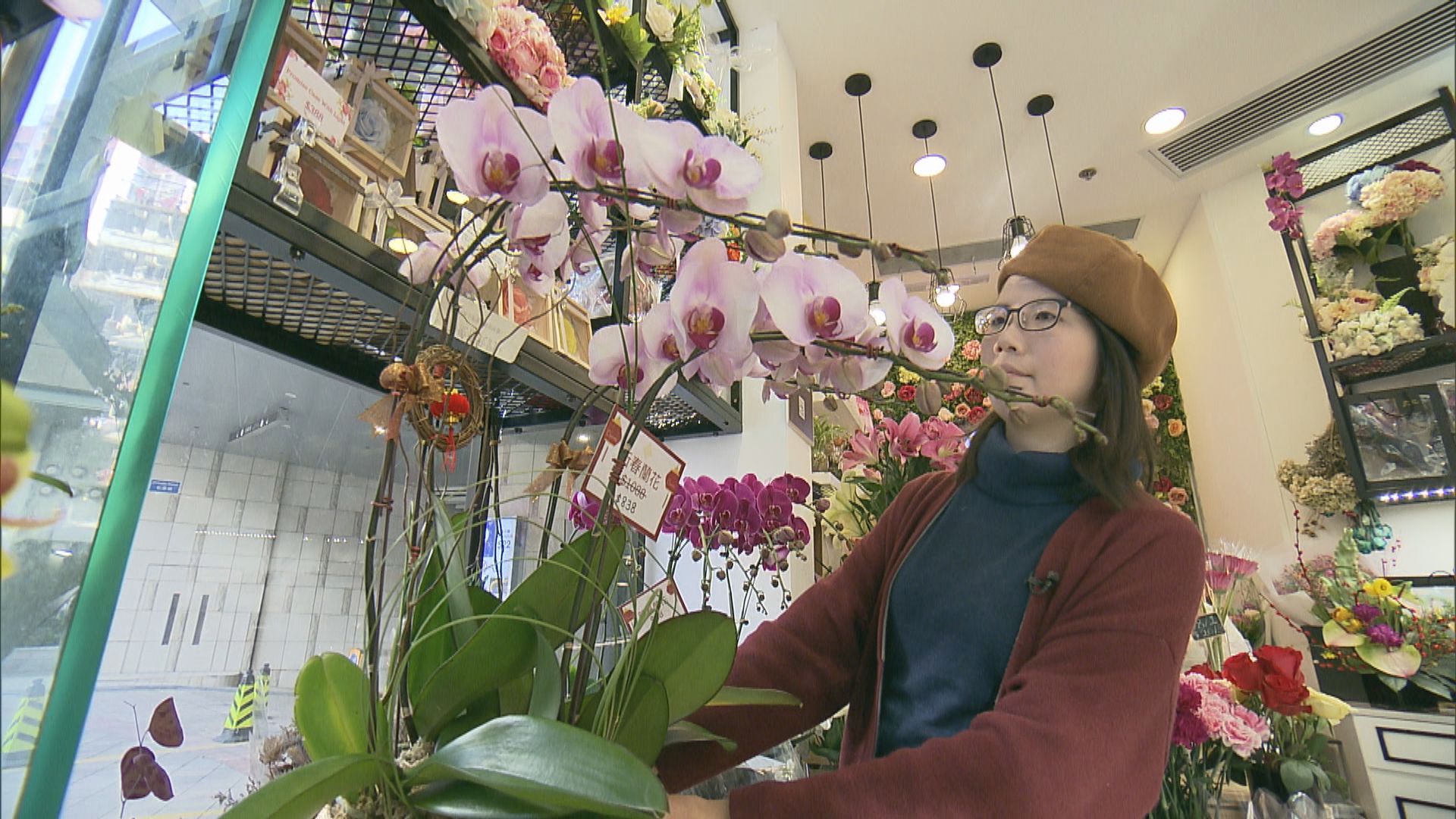 【鼠年將至】年宵僅濕貨 花農、花舖竟失預算生意跌？！