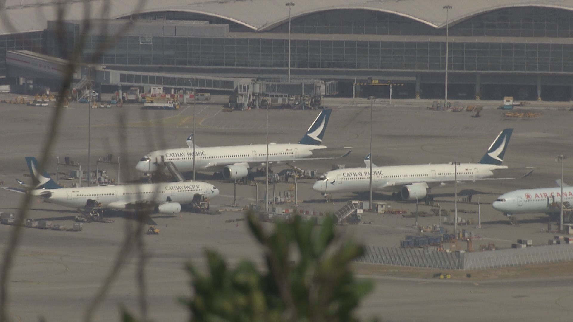 【「回鄉」注意】國泰及HK Express再Cut 2月至3月往返日本航班