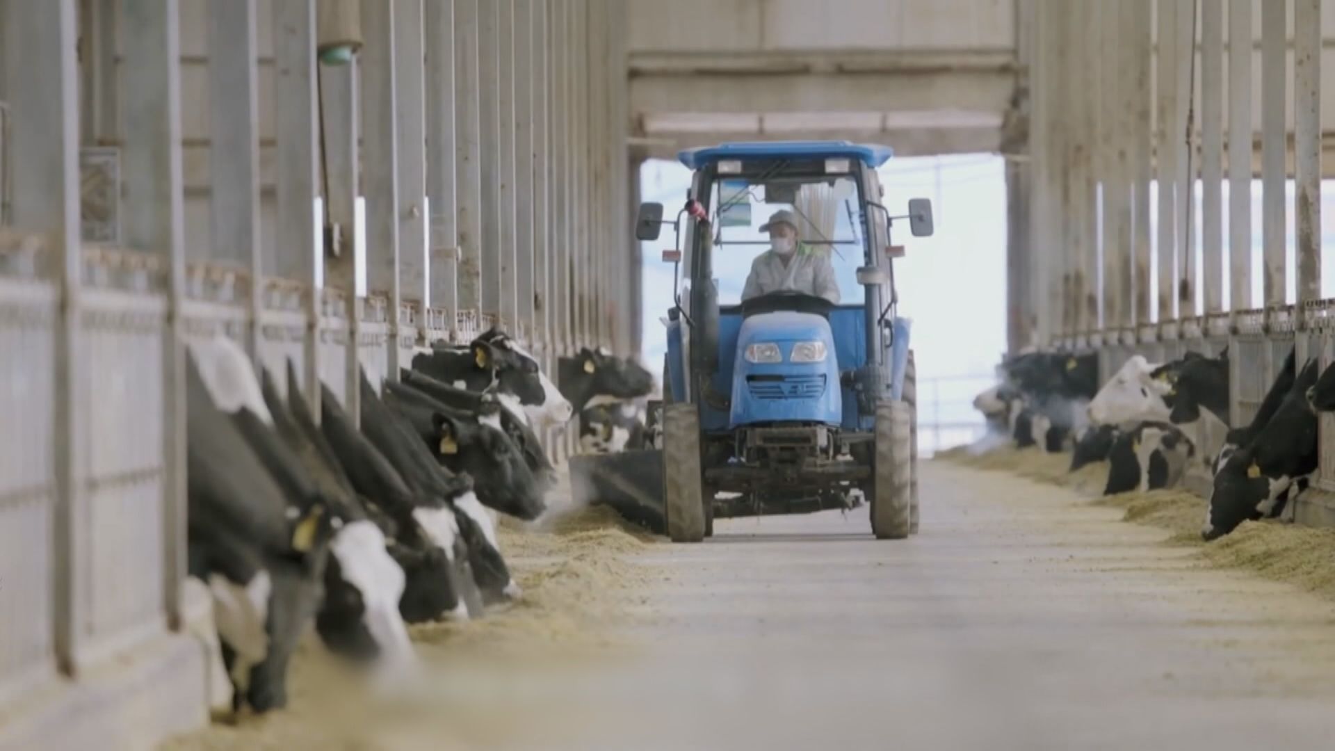 傳優然牧業下周路演  港IPO籌62億