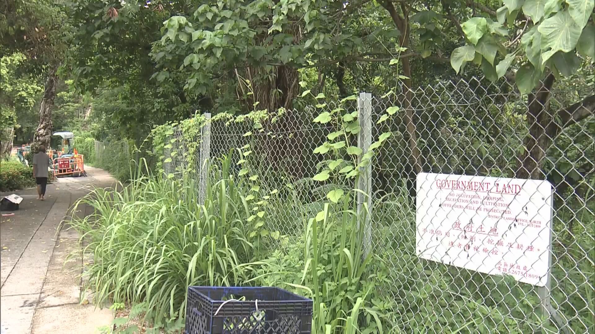 【暫收15標】長實、恒隆等入標爭粉嶺住宅地