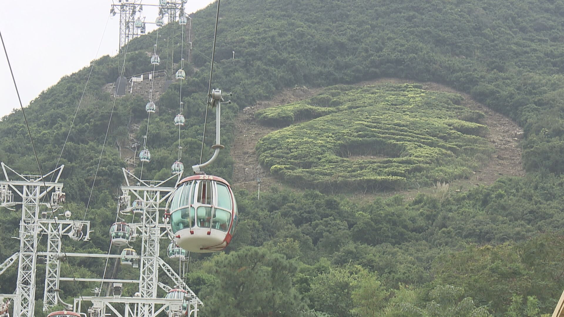 【新園區】新園區由發展商興建及營運 海洋公園︰決定營運模式更有彈性