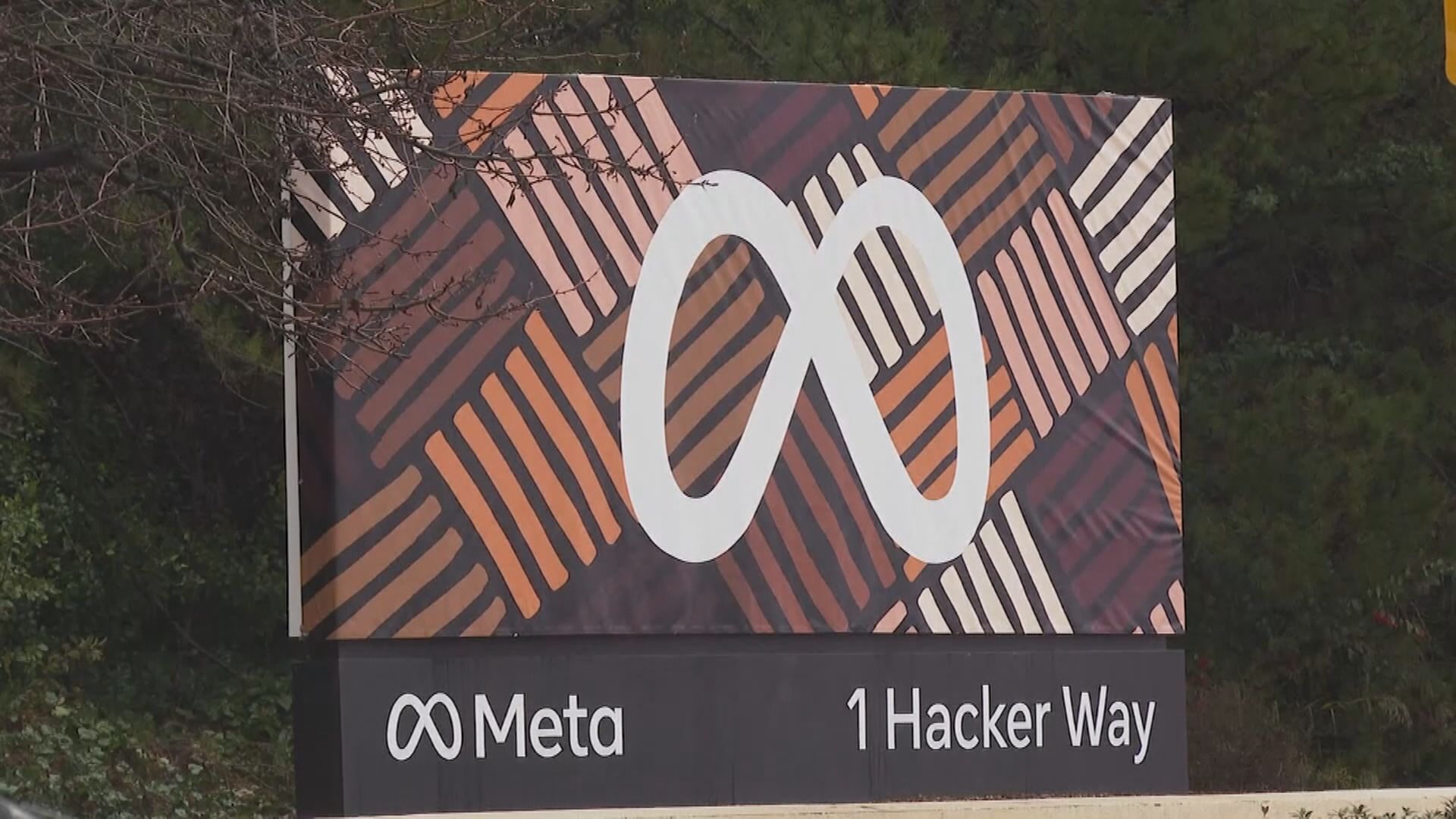 【收費訂閱服務】Meta推Meta Verified 月費最平11.99美元