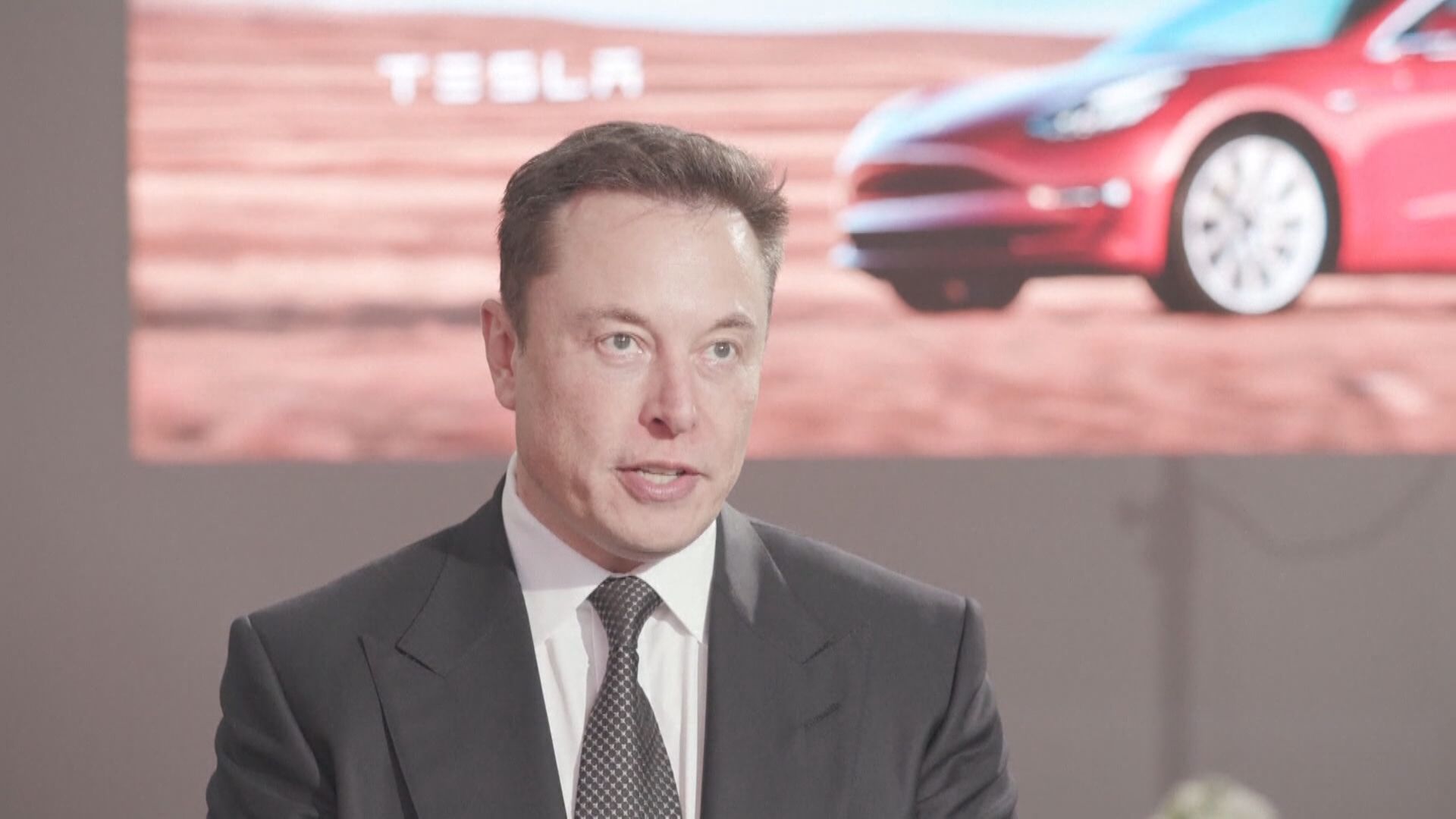 馬斯克指Dogecoin是騙局  曾冧價36%