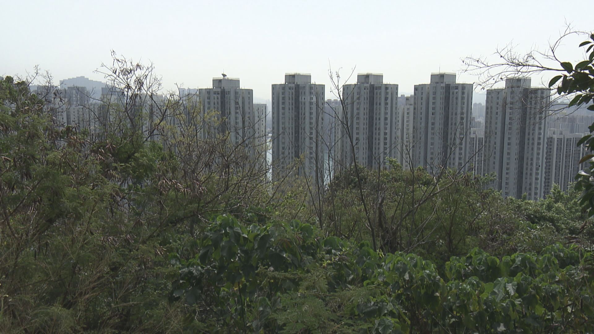 【不設私樓？】荃灣油柑頭用地擬全數供應首置單位