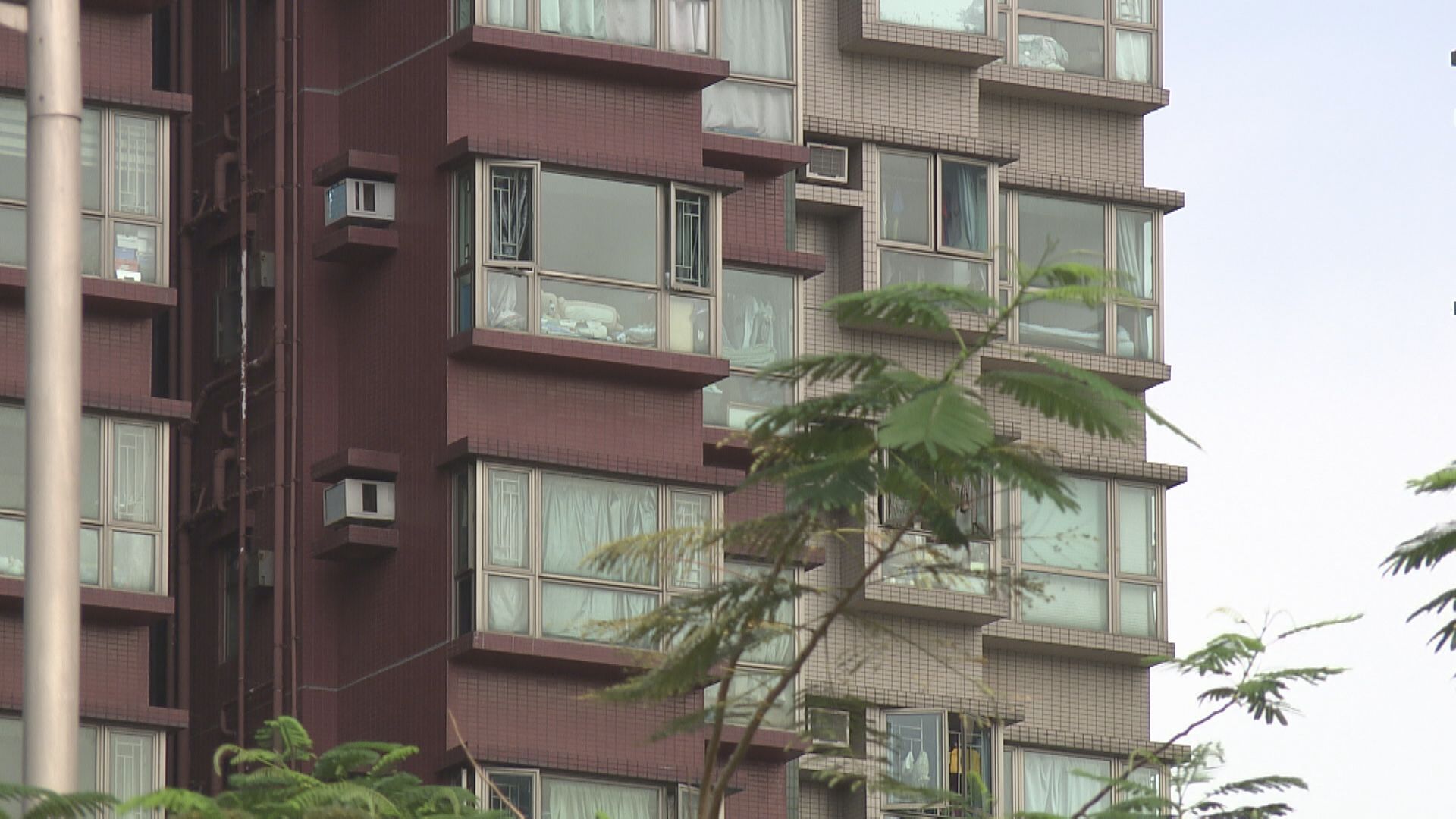 CCL兩連跌 惟新西樓價再破頂