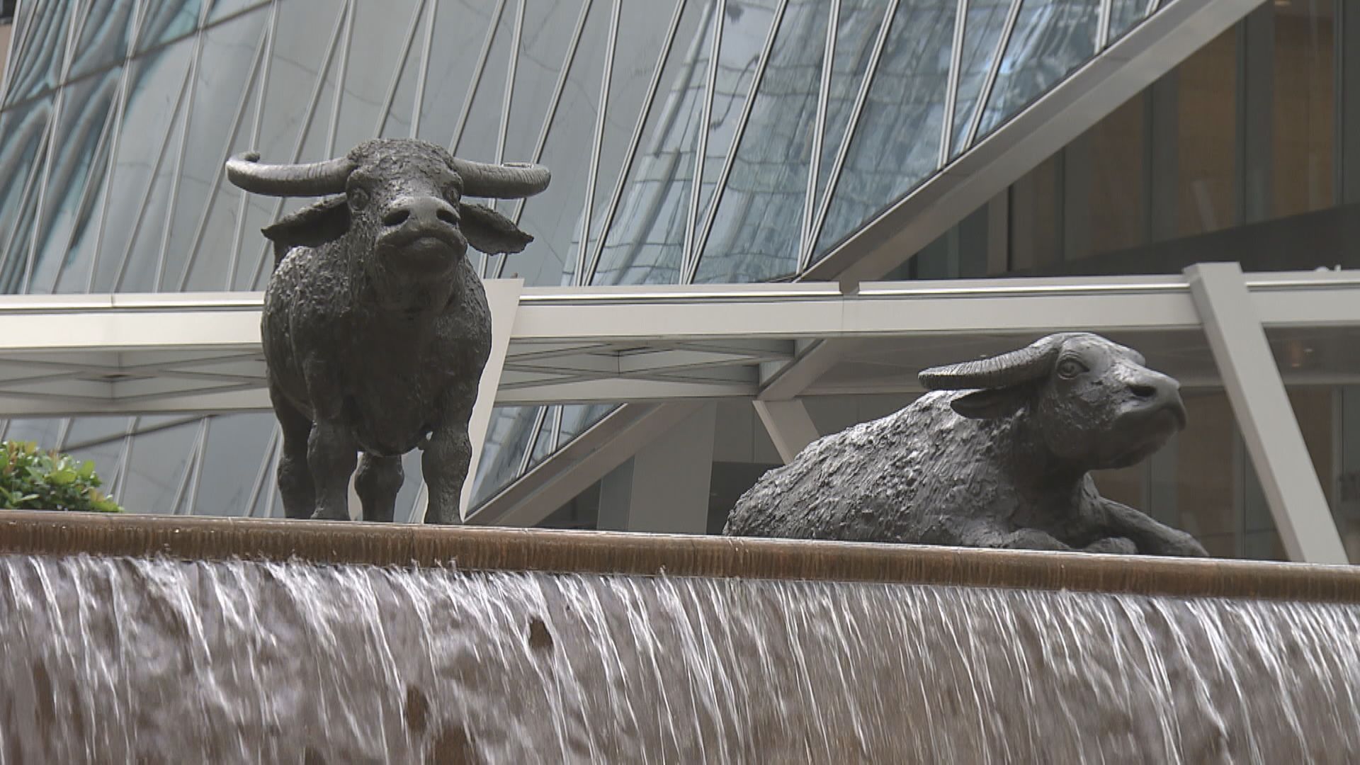 證監擬明年下半年推投資者識別碼