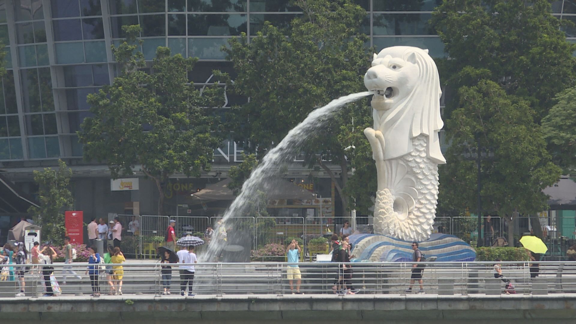 新交所CEO:尋求收購合併