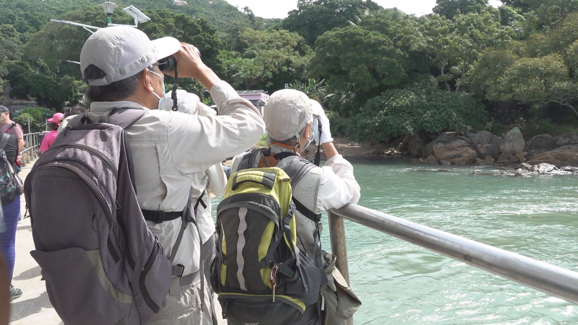 去年訪港旅客插水式跌近94%
