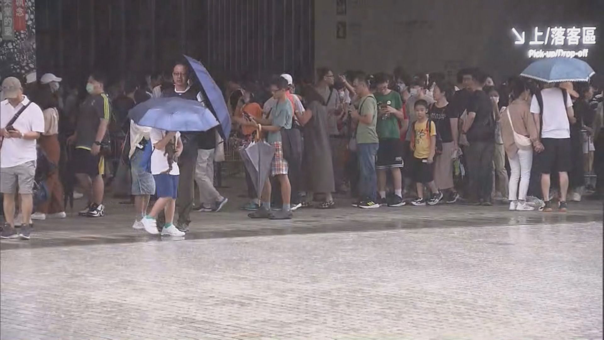  M+博物館午後需輪候兩小時 市民：免費都無用 