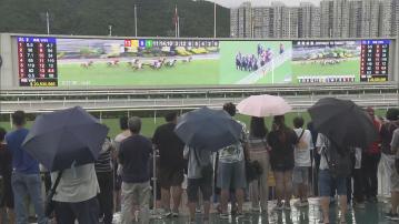 沙田馬場舉行慶回歸賽馬日　有旅客特意來港感受賽馬氣氛