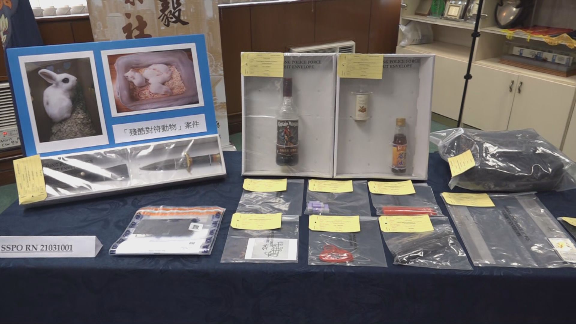 19歲男子涉收費殺害動物作祭祀被警方拘捕