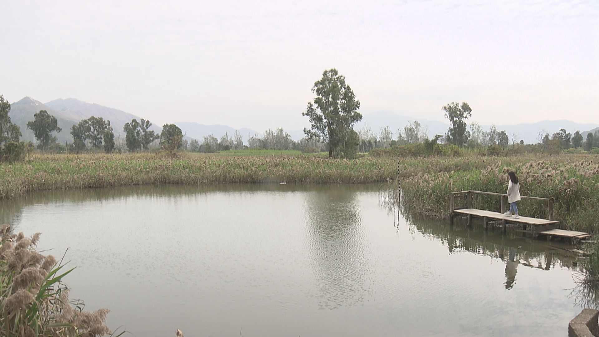 環諮會討論南生圍甩洲綜合發展濕地項目　委員關注發展商提一筆過保育基金細節
