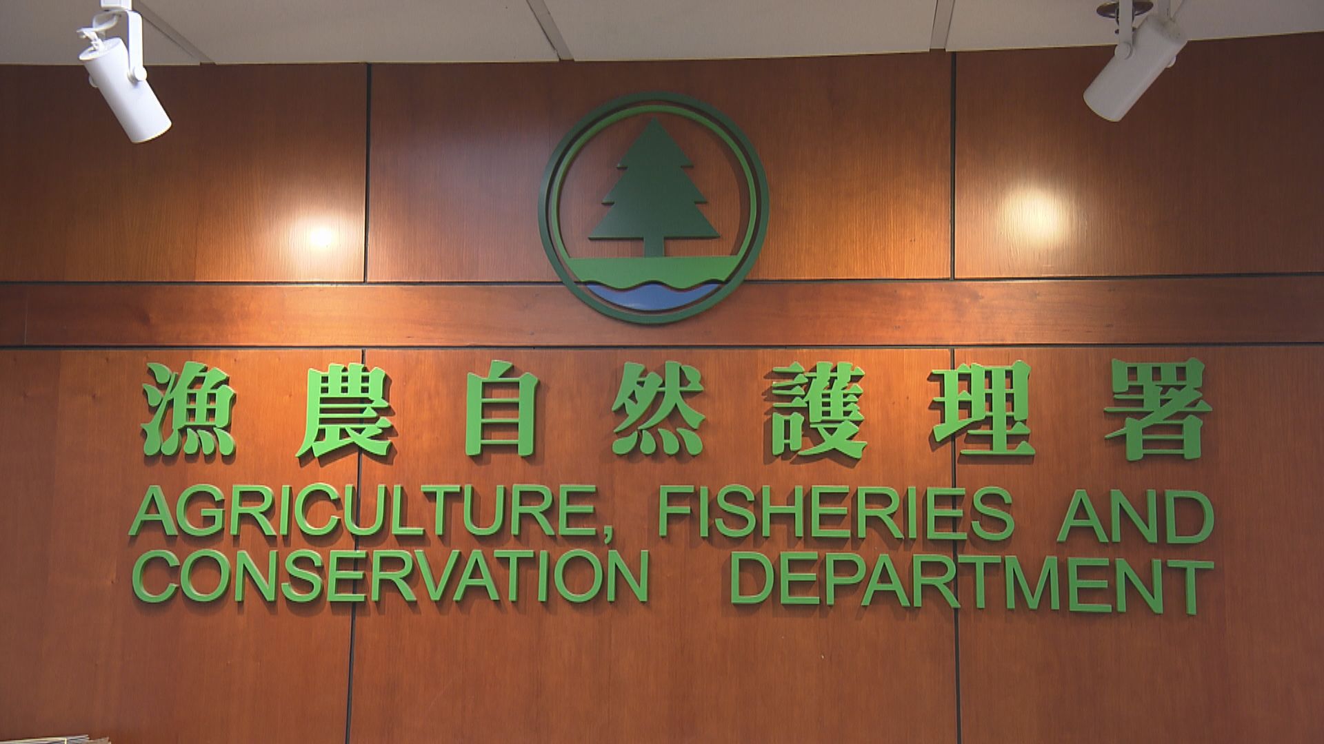 漁護署：過去三年有13宗員工被野蜂所螫報告