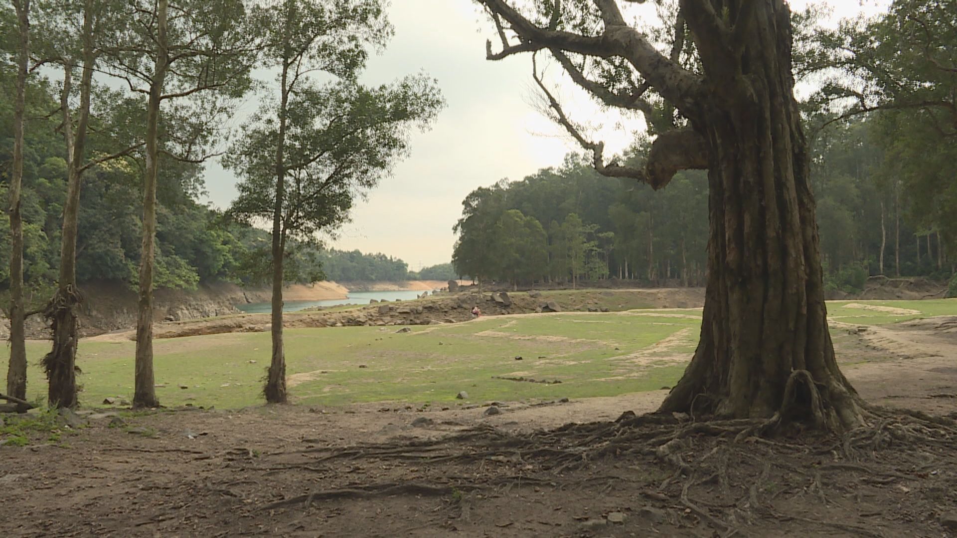 漁護署延長關閉燒烤及露營地點至下月初