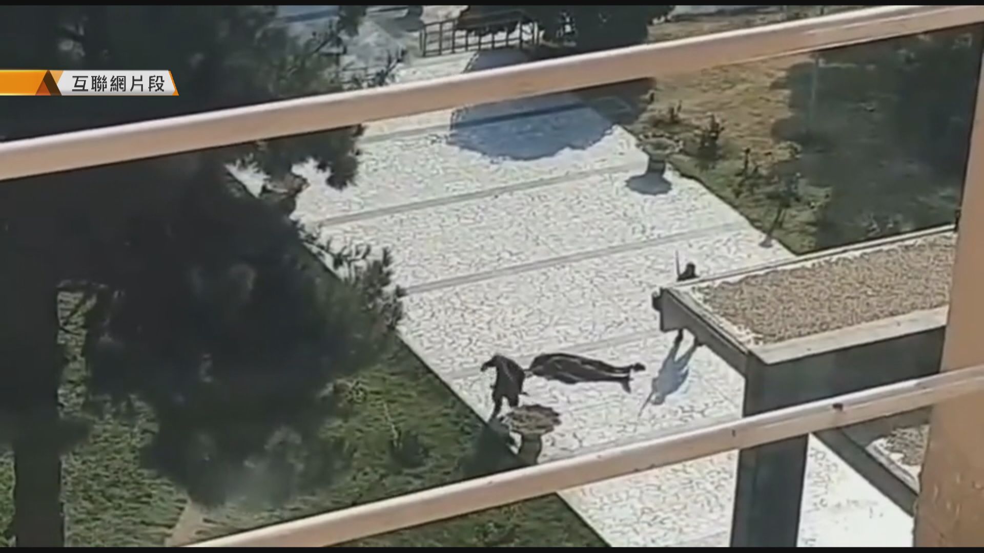 喀布爾醫院外遭爆炸襲擊至少25死