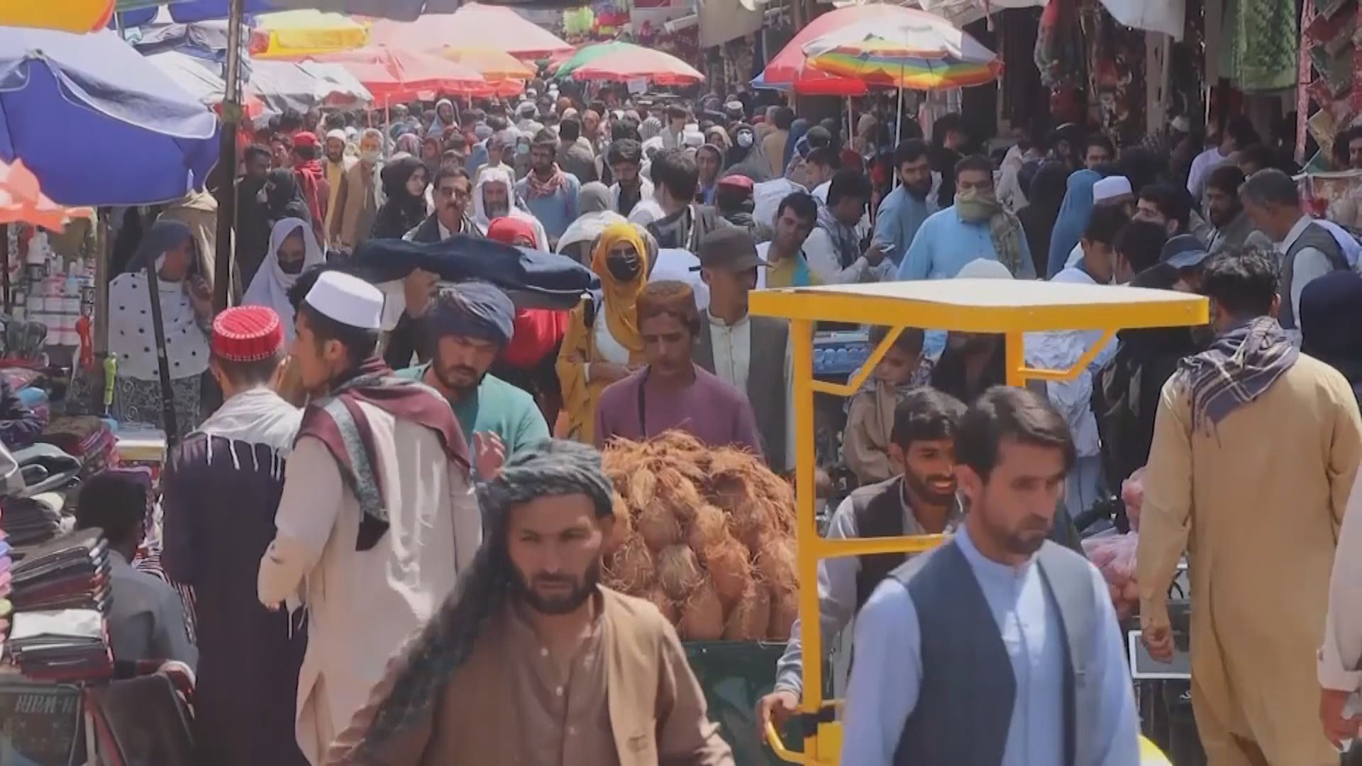 塔利班即將公布組建新政府　據報籌備在總統府舉行儀式