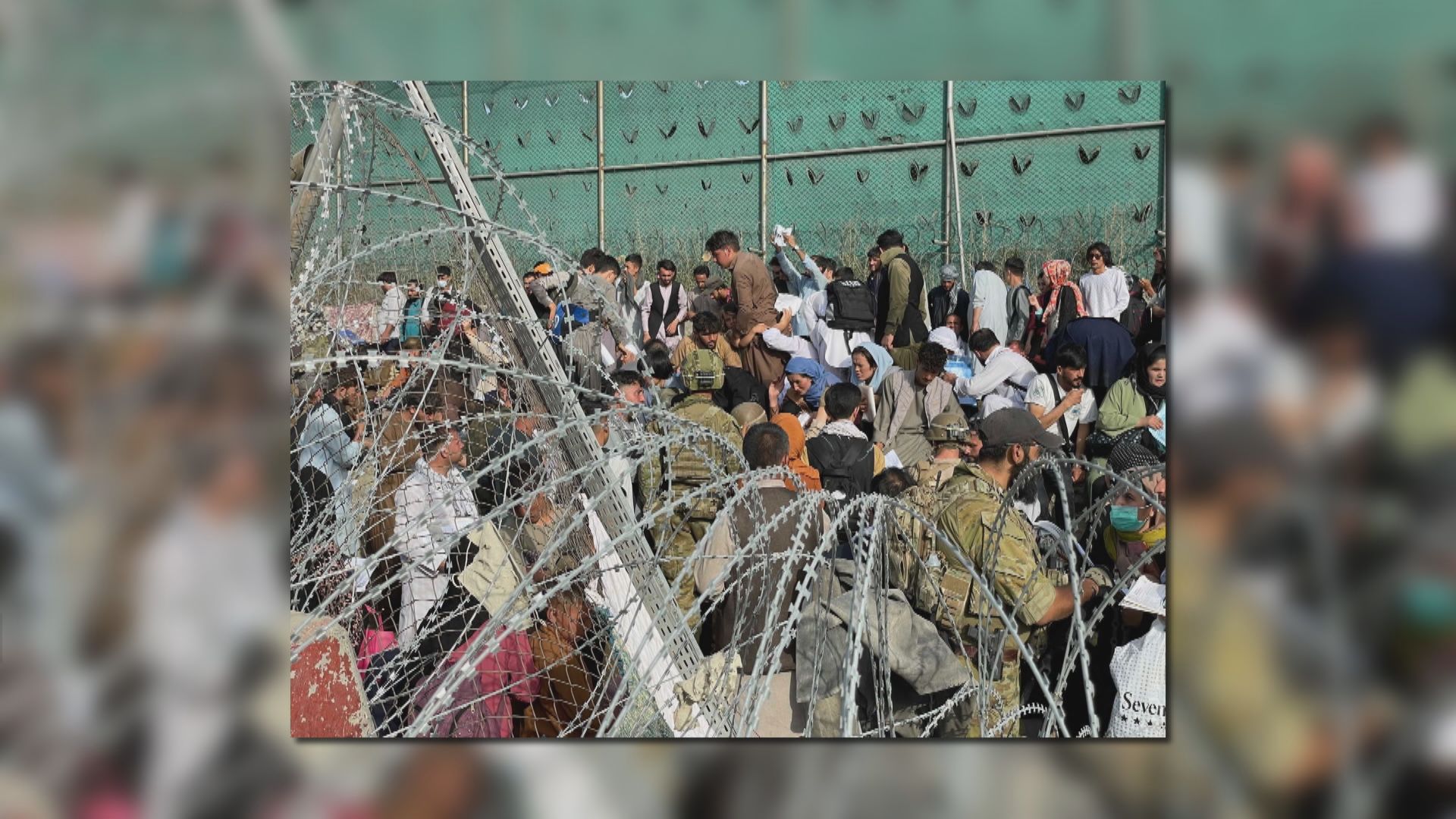 美國兩名眾議員突造訪喀布爾遭抨擊