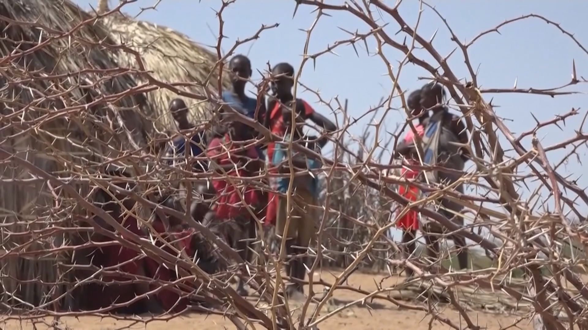 非洲之角地區嚴重旱災　多國面臨糧食危機