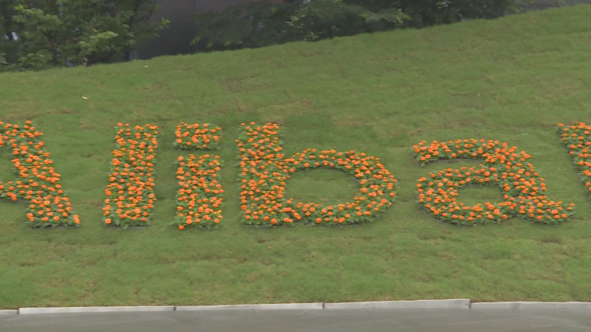 外電：阿里巴巴暫停對印度的投資