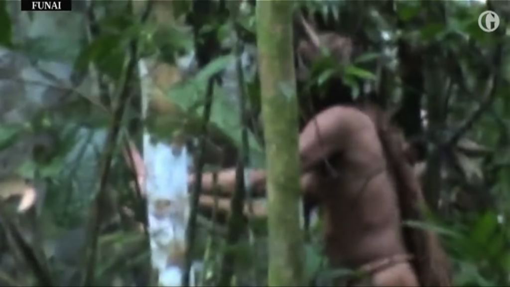 巴西隱世部落幸存者片段曝光