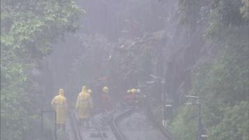 天文台黃雨前接水龍捲報告 多區塌樹山頂纜車需暫停