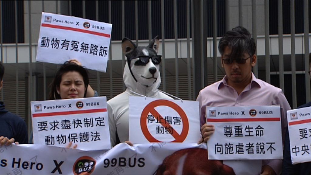 團體請願促政府加強保護動物 