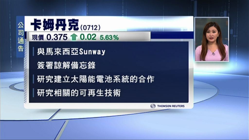 【夥大馬建築商】卡姆丹克拓太陽能電池系統