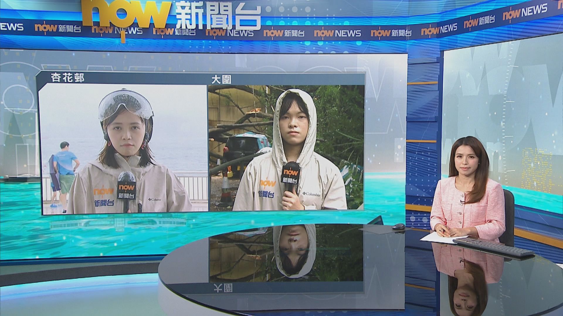 記者直擊｜杏花邨有家長帶小朋友追風　大圍三層高大樹倒塌壓車