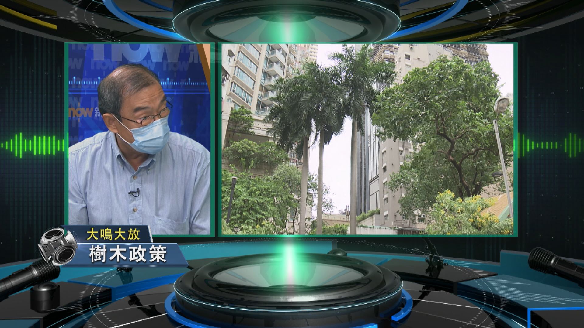 【大鳴大放】樹木政策（二）