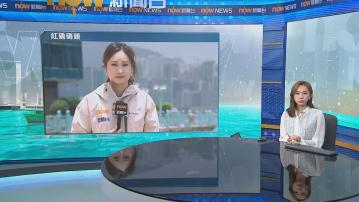 打風．紅磡直擊｜風勢較早上強勁　天氣續陰晴不定　市民稱雨具齊備出門