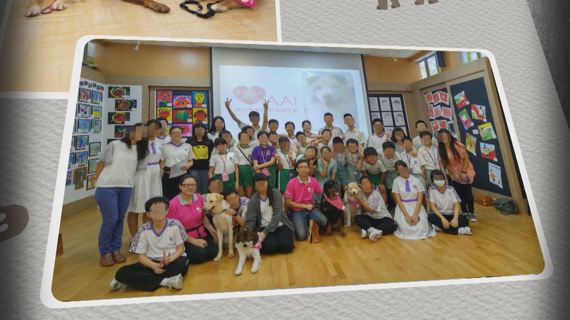 杏林在線｜毛孩治療師