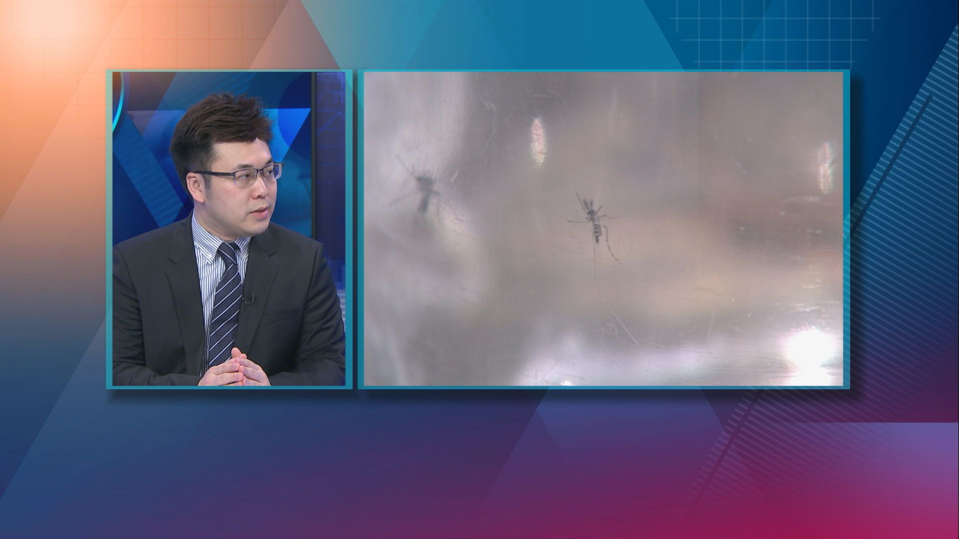 【杏林在線】登革熱爆發