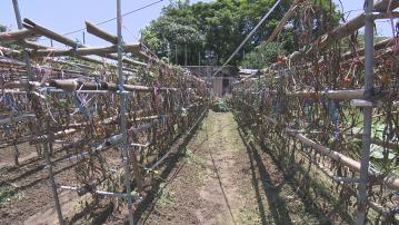 【杏林在線】防災有道