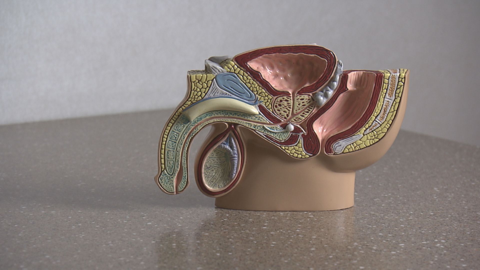 【杏林在線】男士之苦