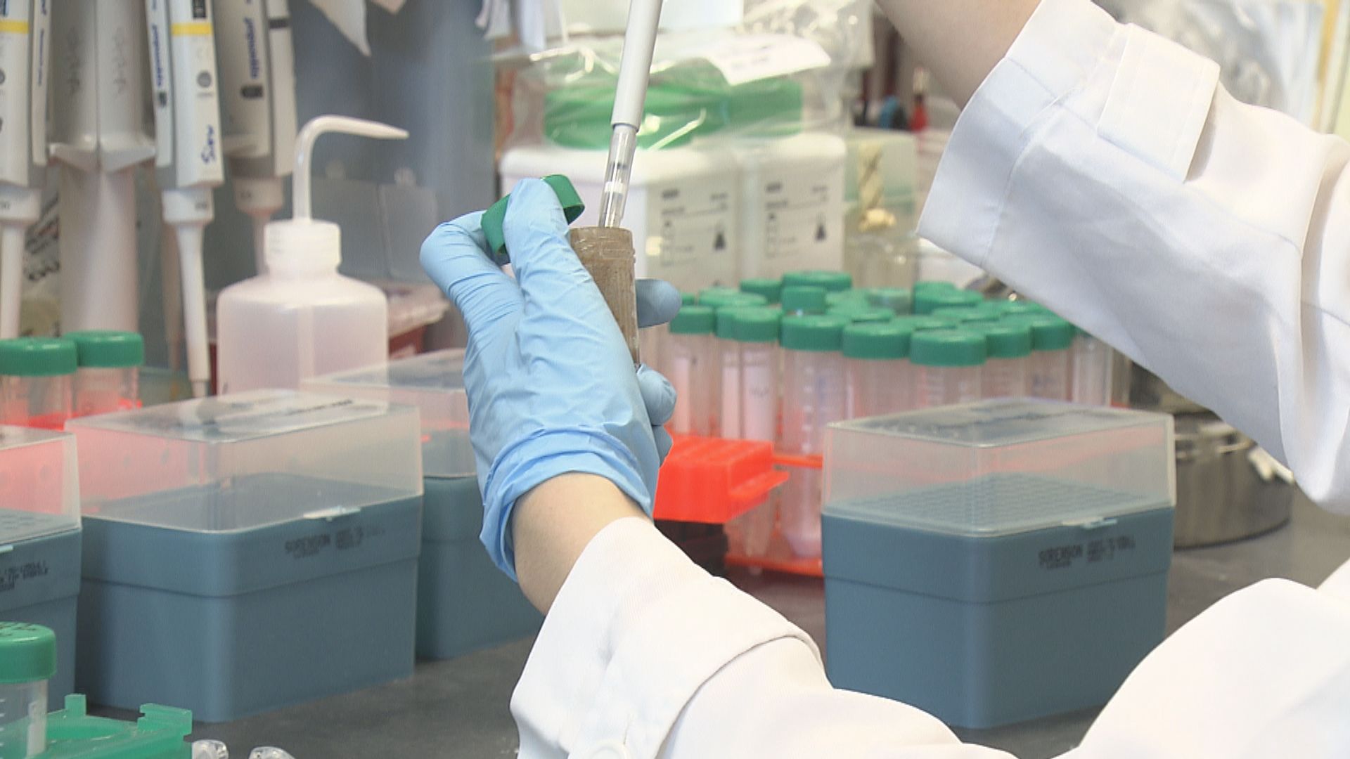 【杏林在線】「黃金」良藥