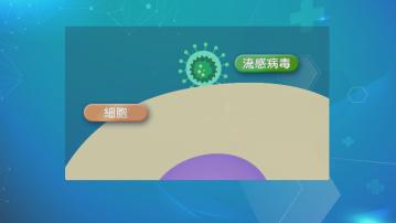 【杏林在線】流感小博士