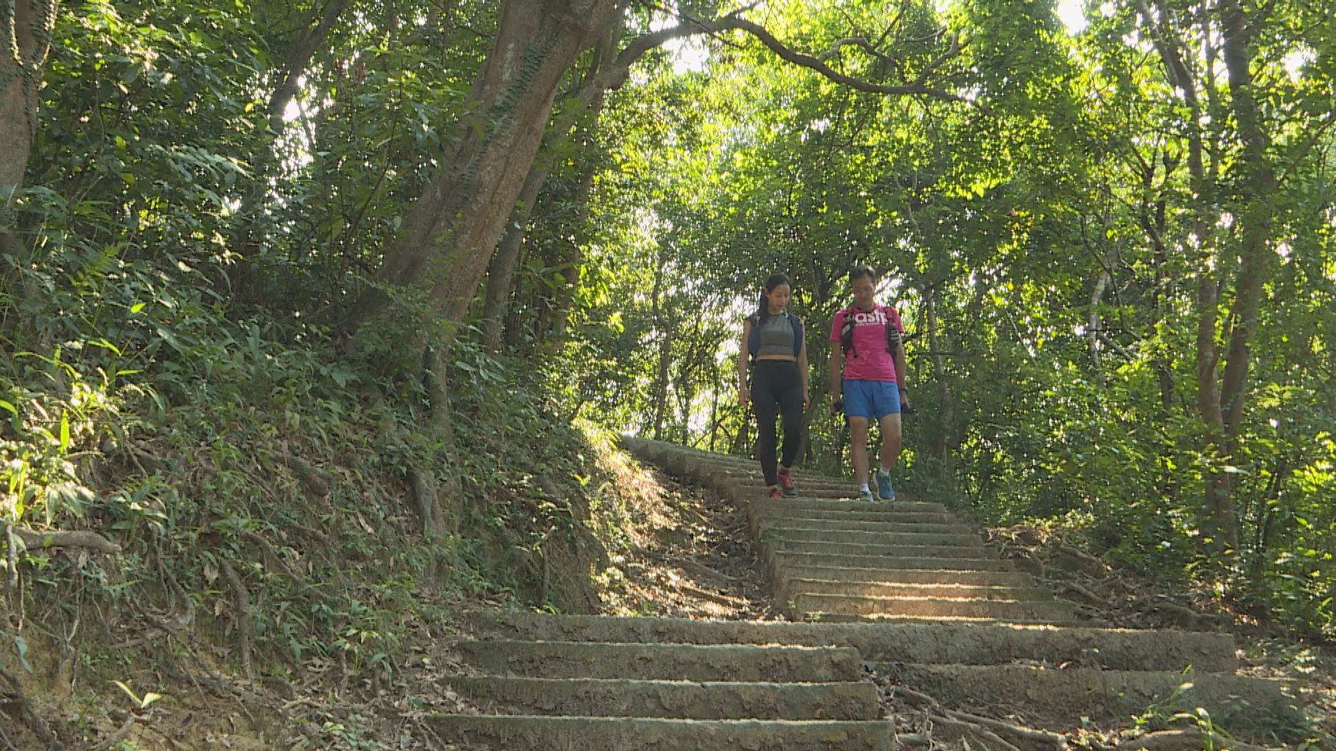 【杏林在線】漫步山野