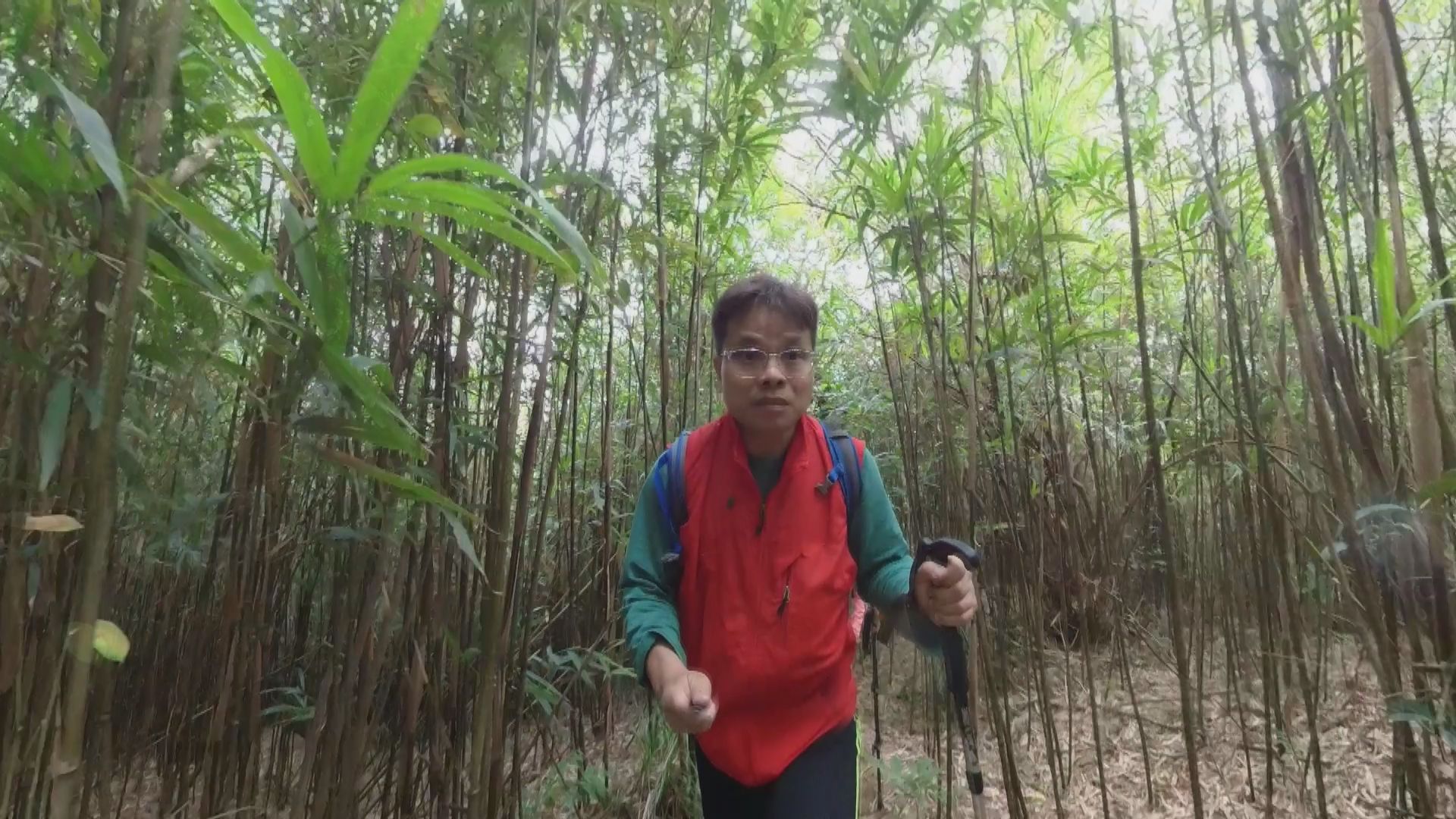 【杏林在線】山野自救術