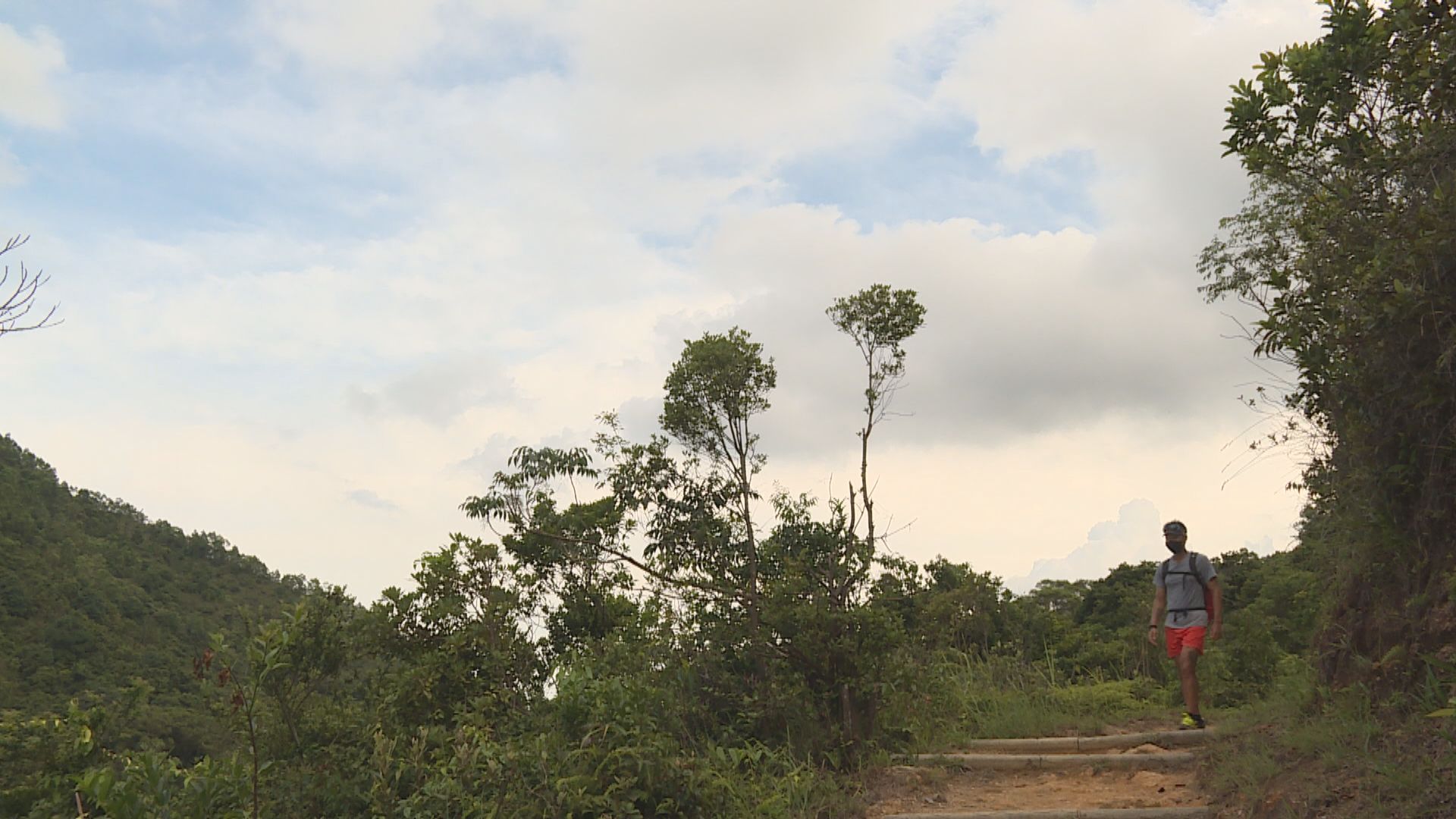 【杏林在線】慎防肌肉溶解