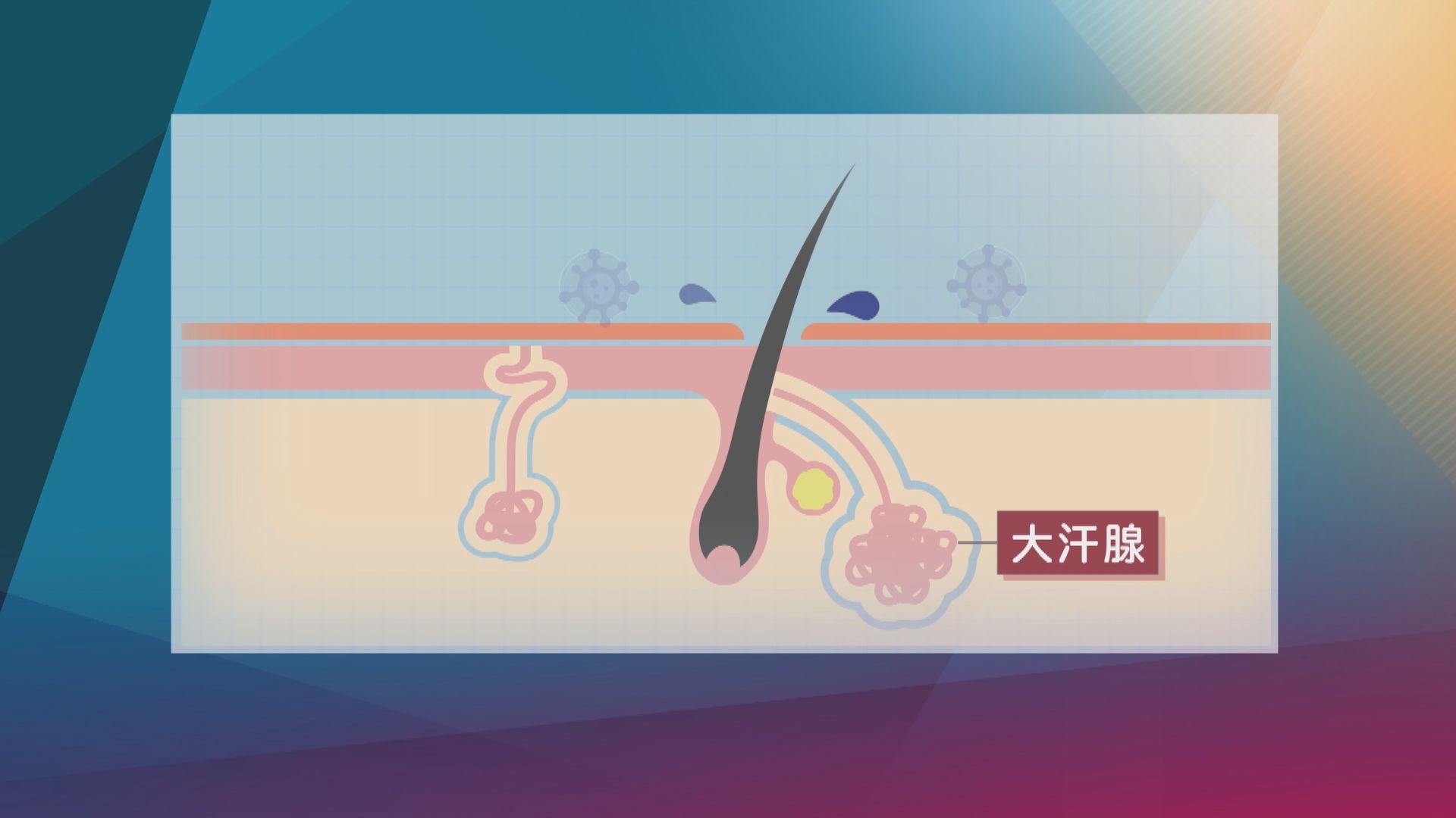 【杏林在線】我的流汗日記