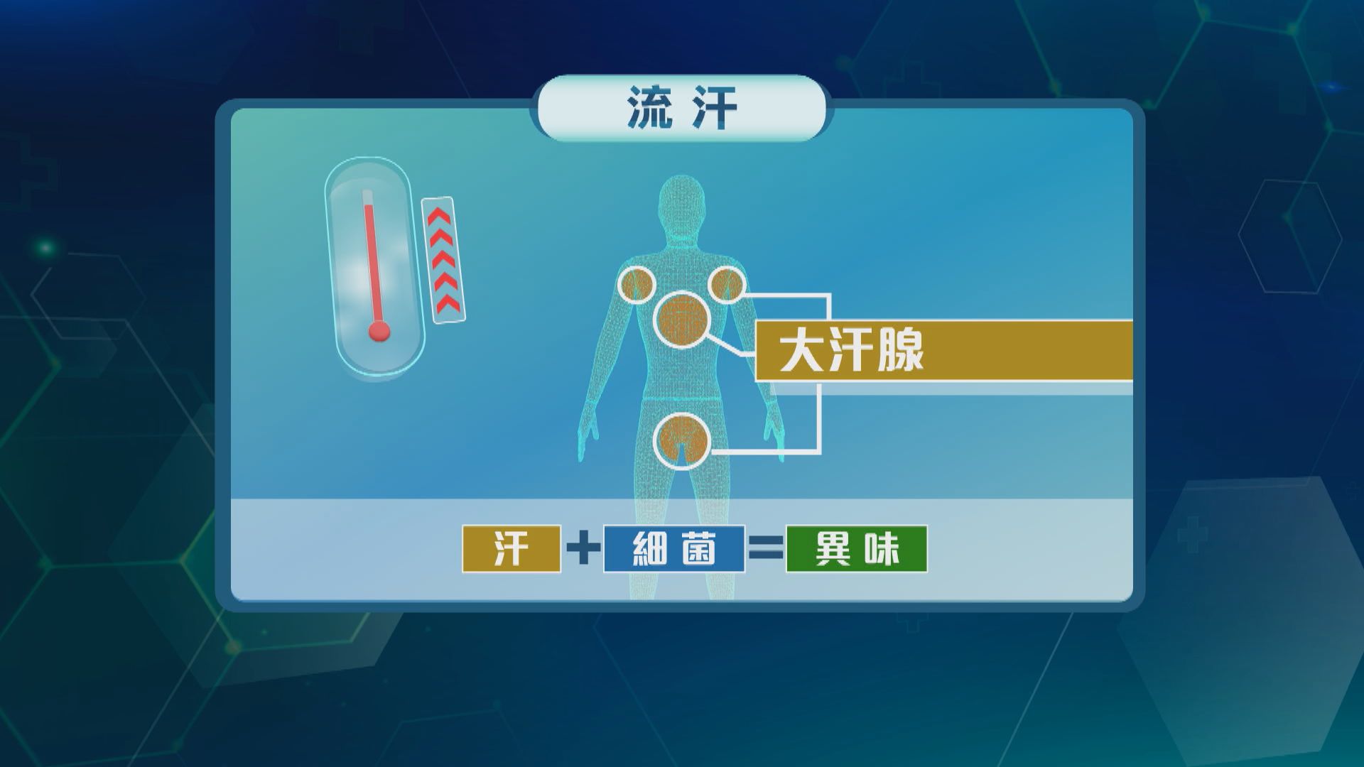 杏林在線｜鎖住汗水