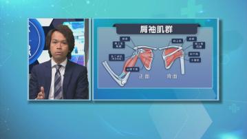 【杏林在線】遠離「游泳肩」