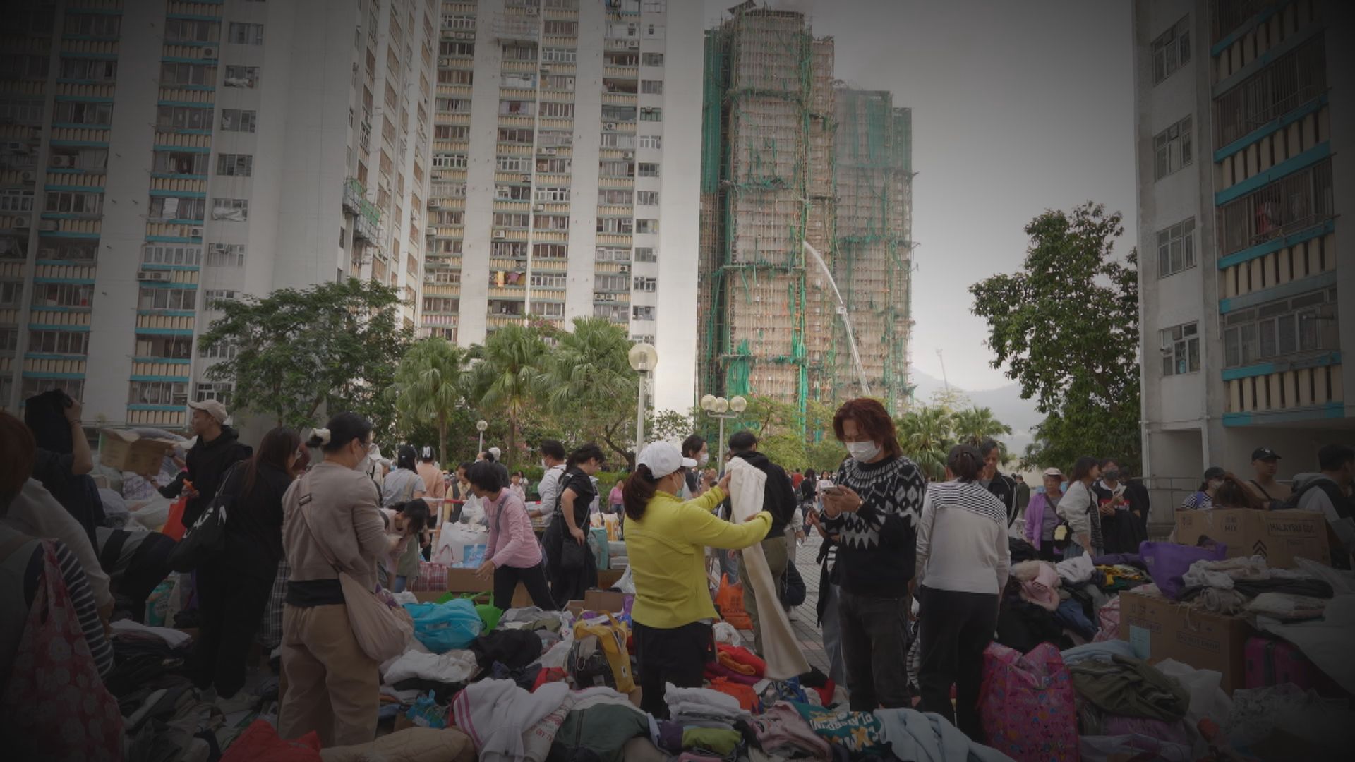 杏林在線｜走出傷痛