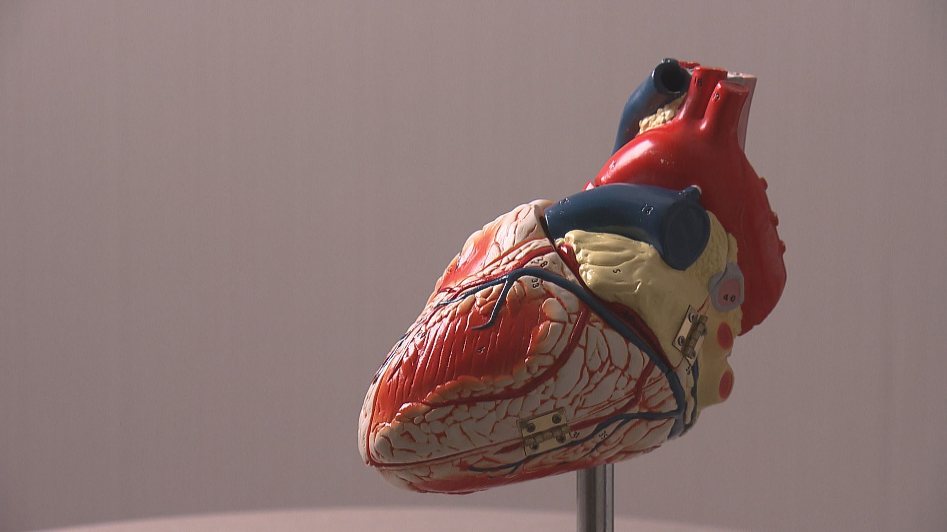 【杏林在線】重獲新「心」