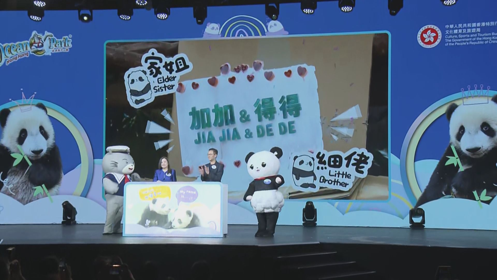加加得得｜海洋公園公布大熊貓龍鳳胎寶寶名字儀式