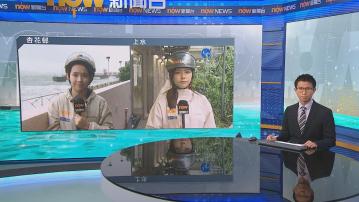 記者直擊｜杏花邨有人冒大風大雨感受韋帕威力　上水枝葉散地