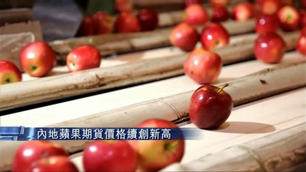 【曾漲停板】內地蘋果期貨價格續創新高